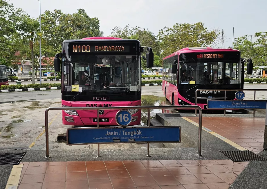 Otobüs terminalinden merkeze giden 100 numaralı otobüs