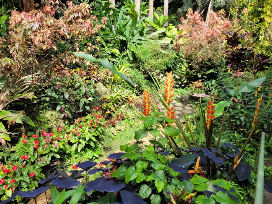 Hunte'nin Bahçeleri