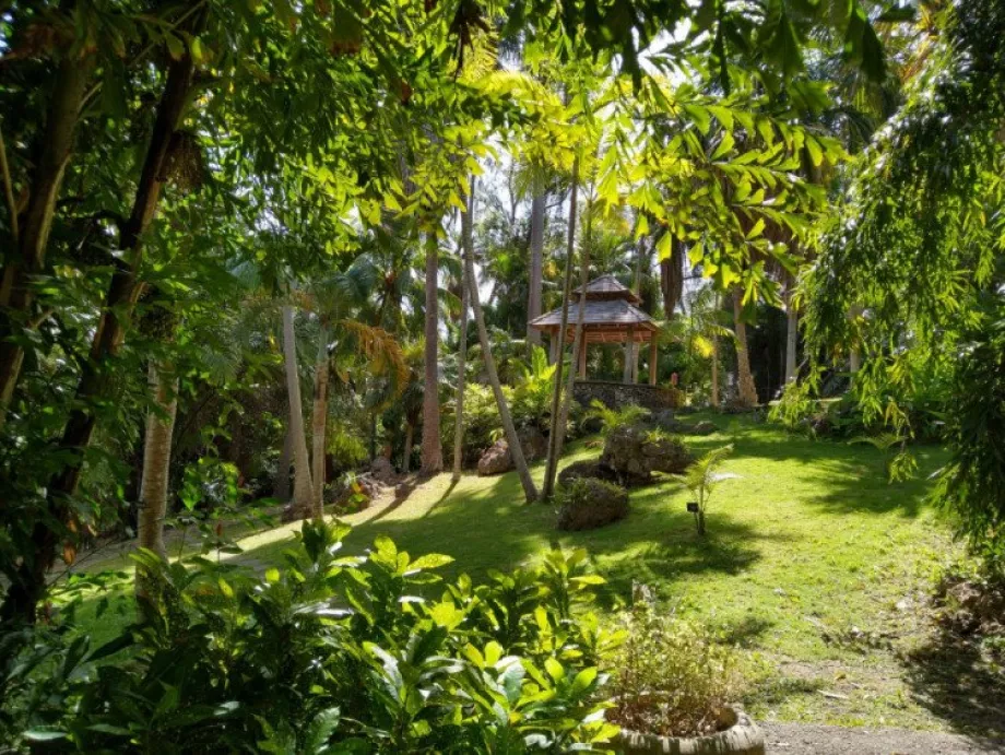 Andromeda Bahçeleri