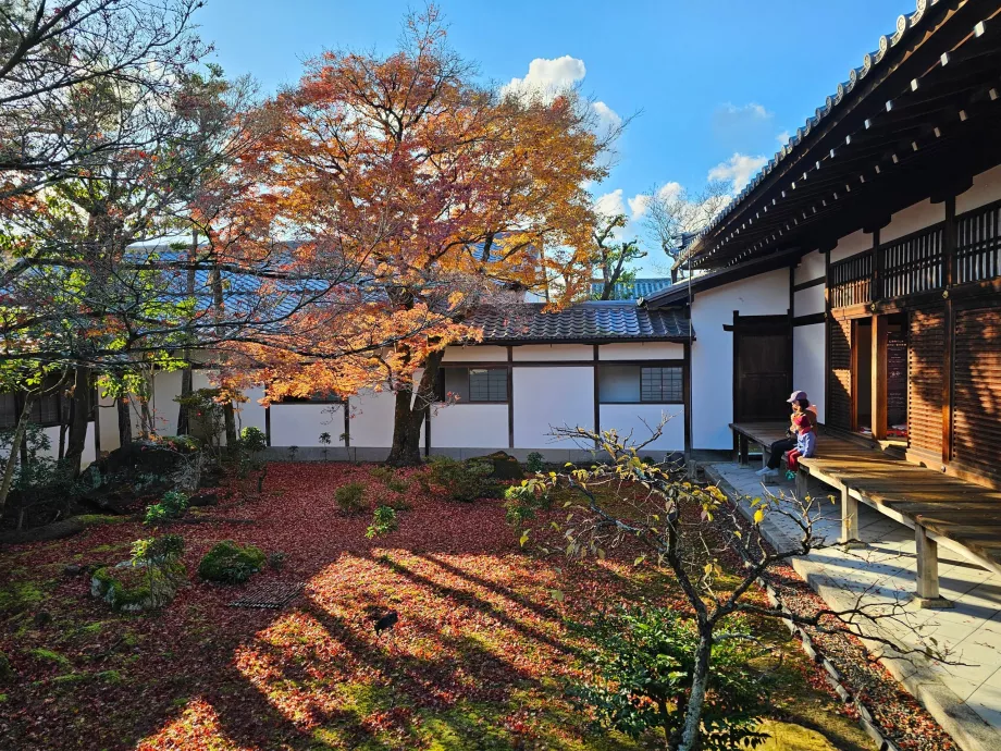 Ninna-ji Tapınağı