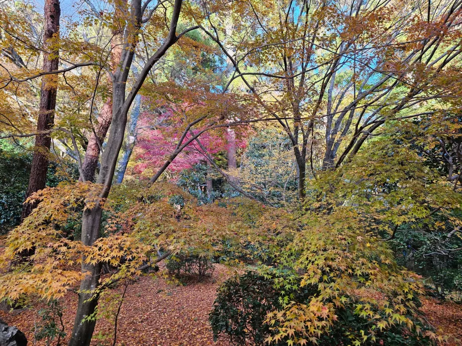 Ryoan-ji Tapınağı