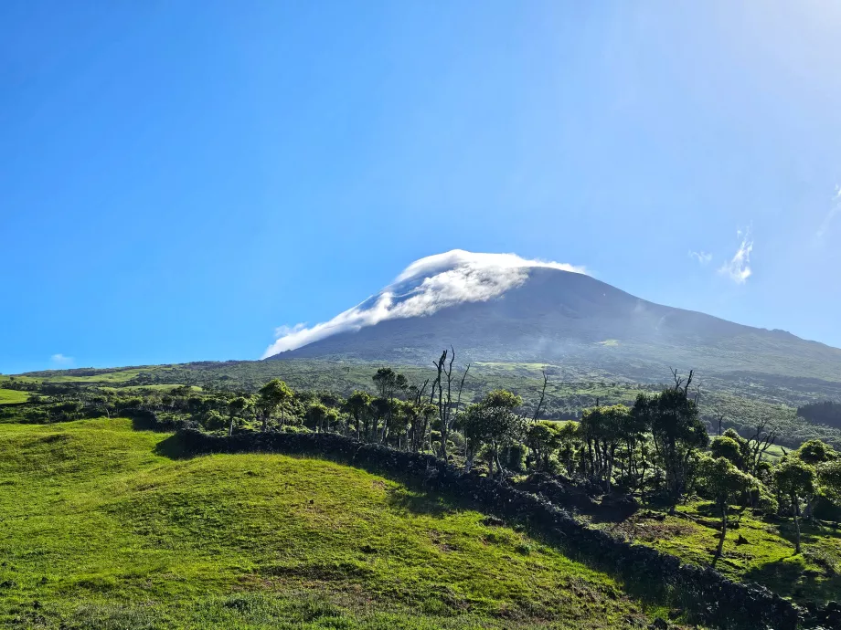 Pico Dağı