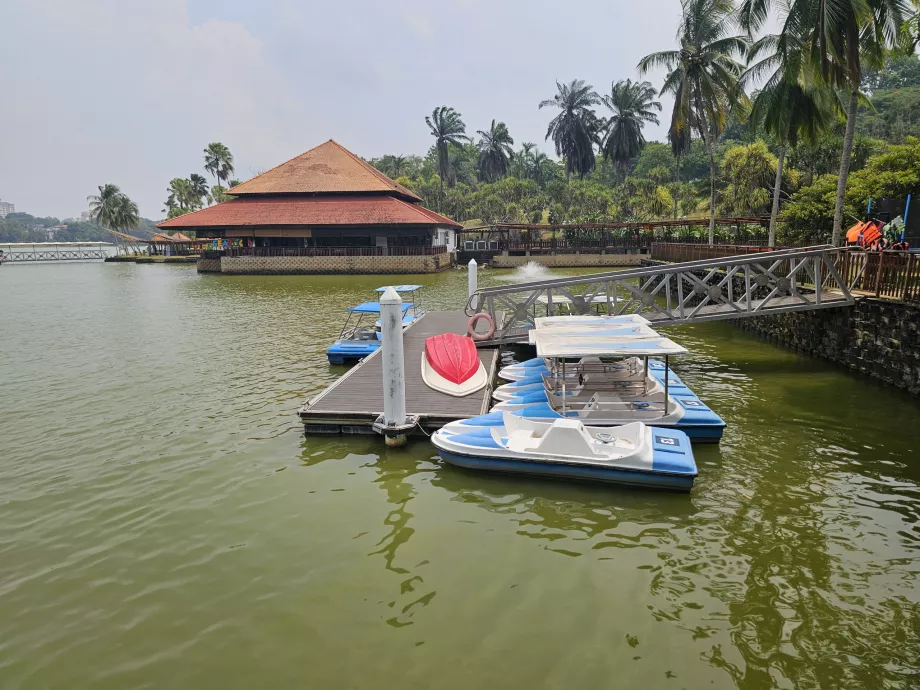 Botanik Bahçesinde parmak arası terlikler