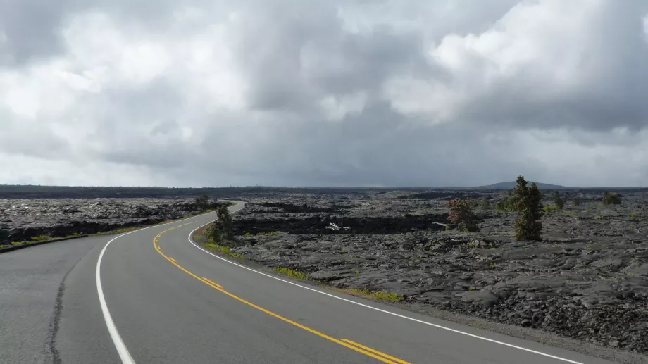Lav tarlalarından geçen yol