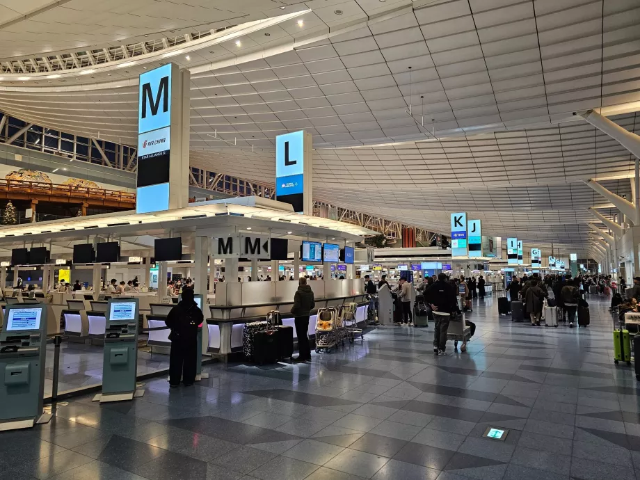 Terminal 3, check-in kontuarları