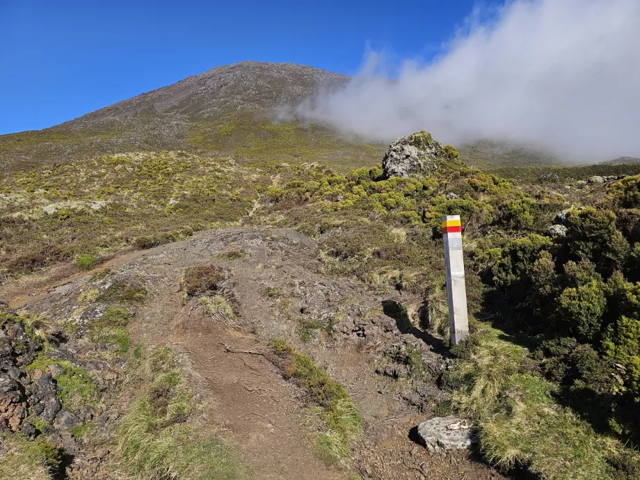Turistik yön levhası, Pico