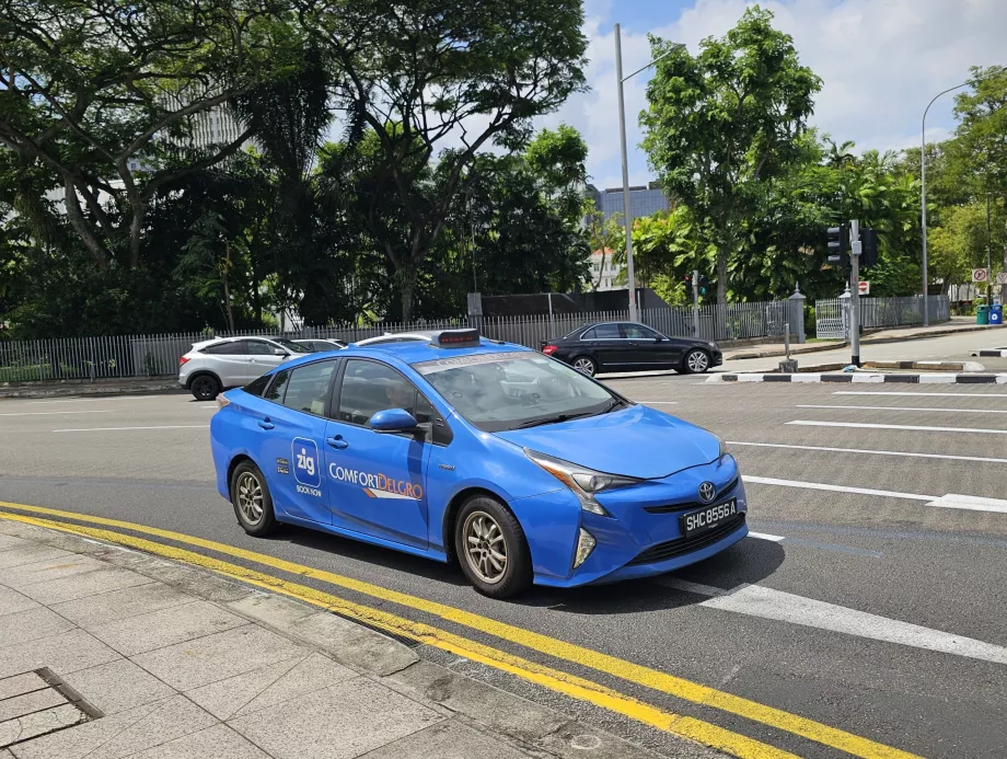 Resmi Zig uygulaması