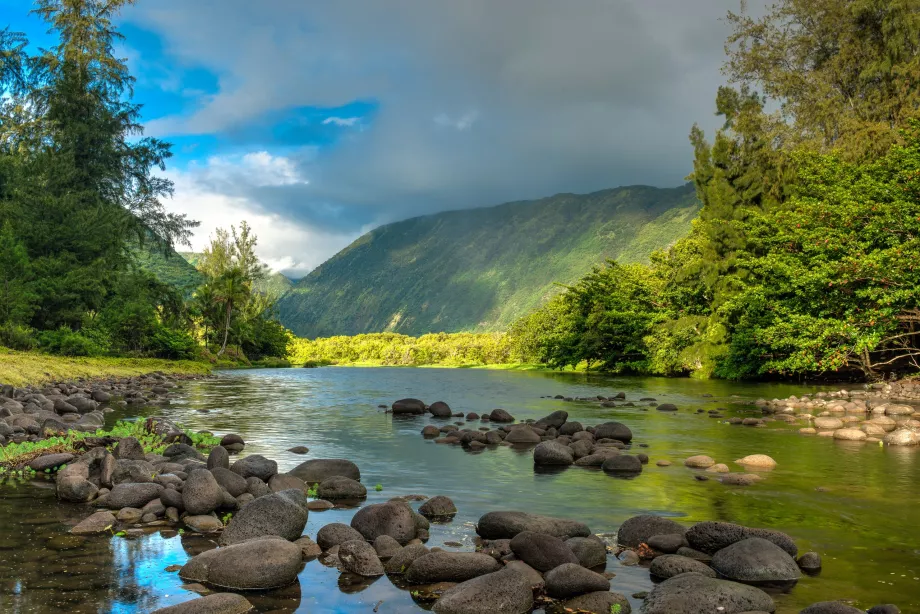 Nehir boyunca yolculuk