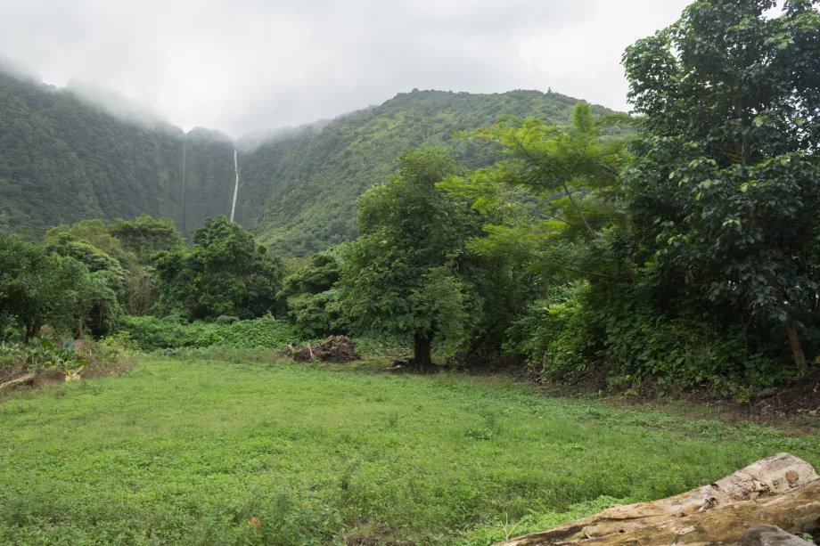 Hiilawae Şelaleleri