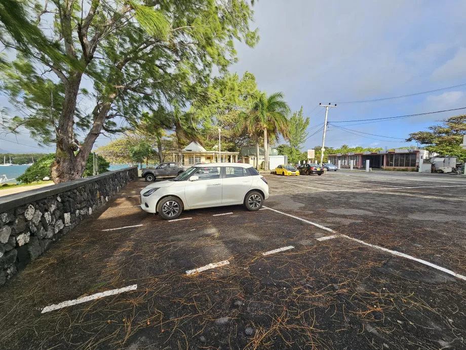 Şehirlerde park etme