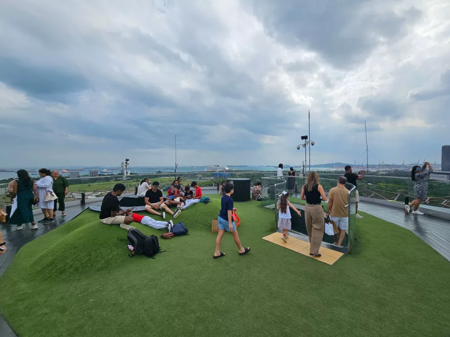 Supertree Gözlemevi