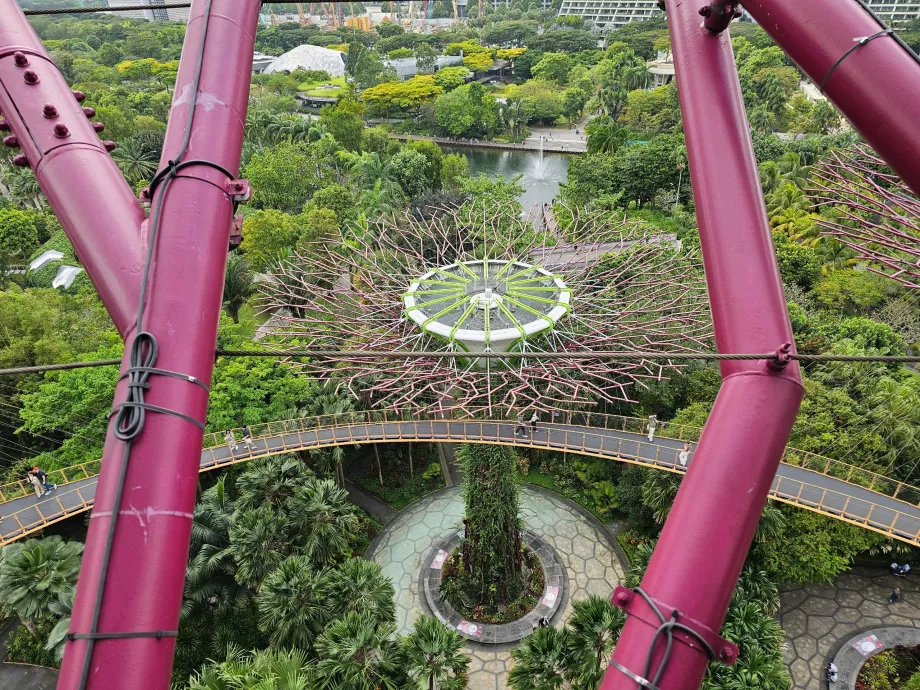 Supertree Gözlemevi