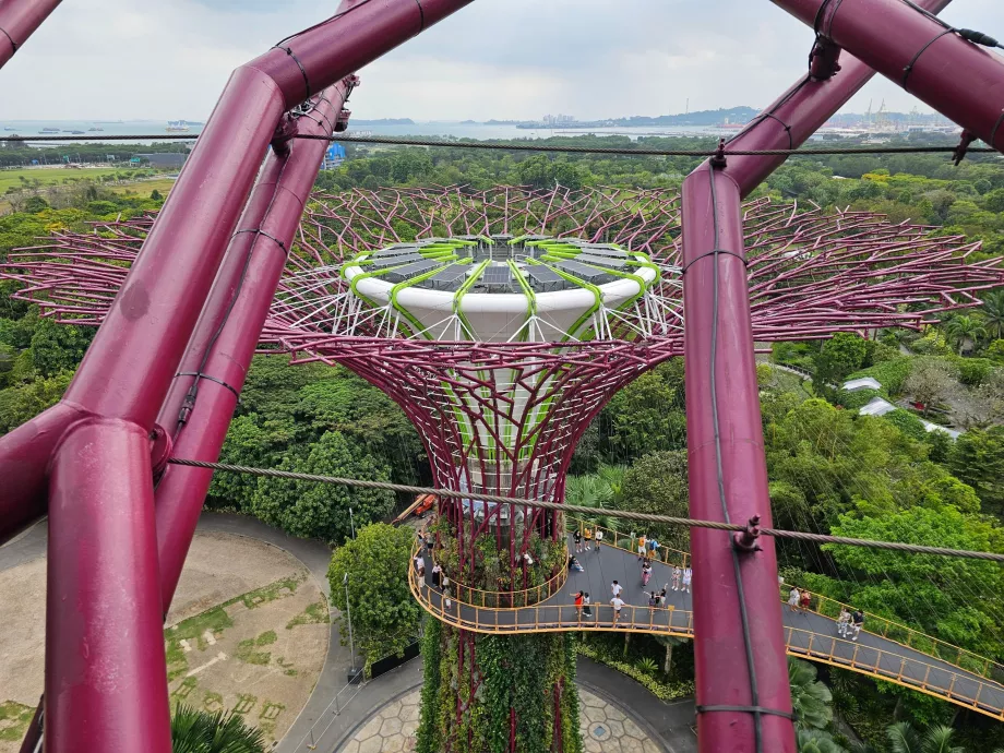 Supertree Gözlemevi