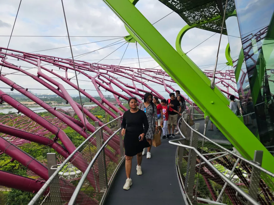 Supertree Gözlemevi