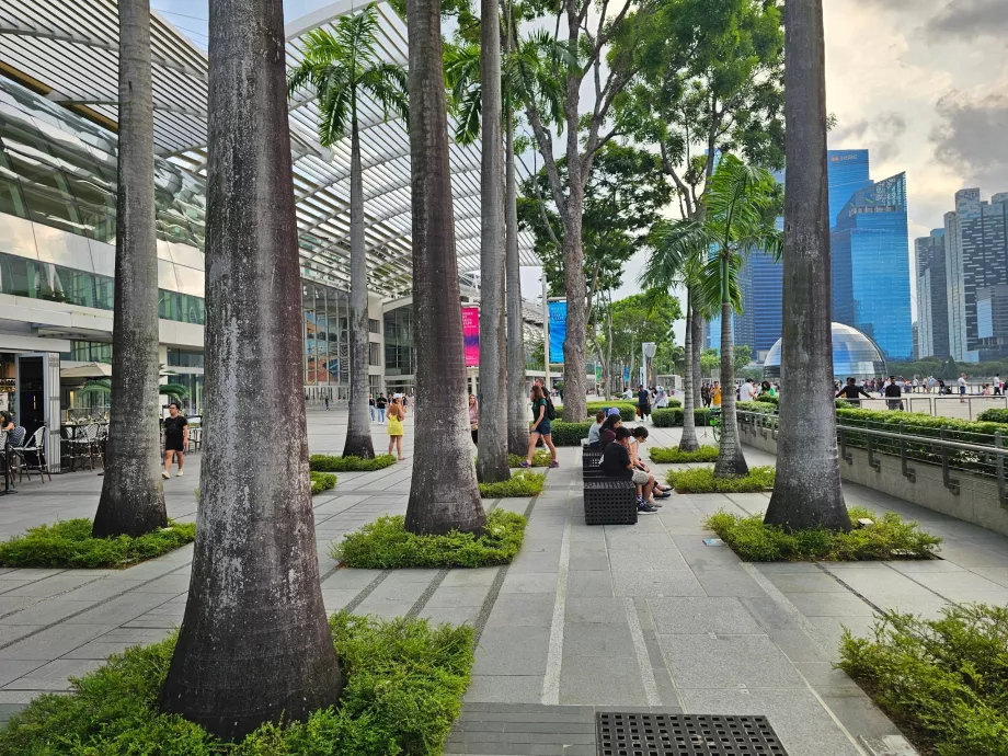 MBS önündeki gezinti yolu