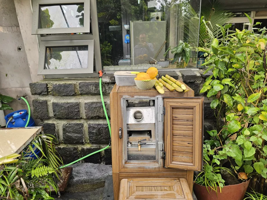 Şeker kamışı suyu