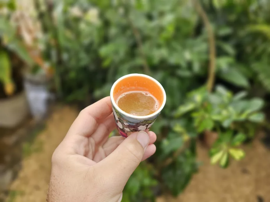 Şeker kamışı suyu