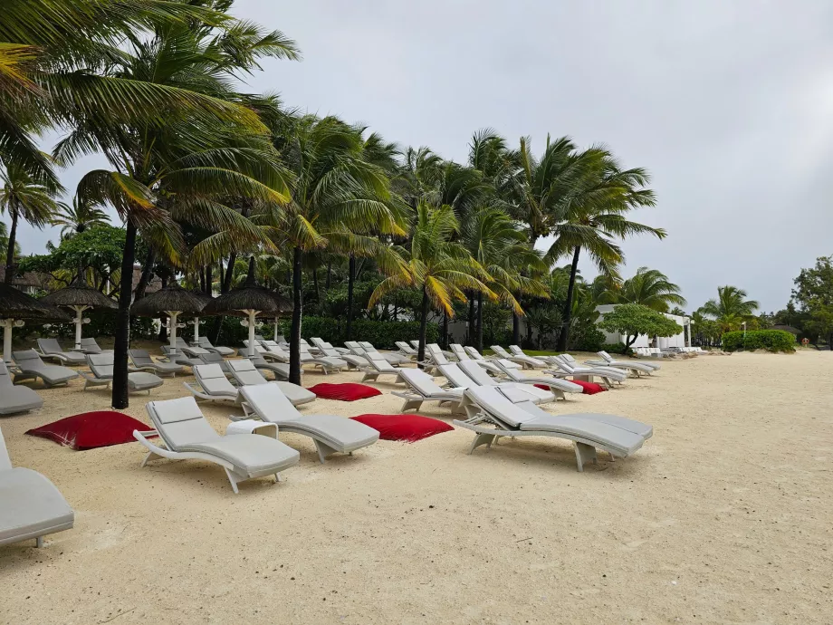 Veranda Palmar otel plajındaki şezlonglar