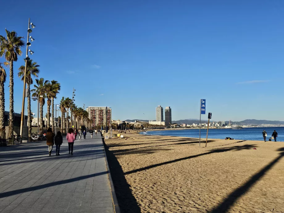 Barceloneta plajı