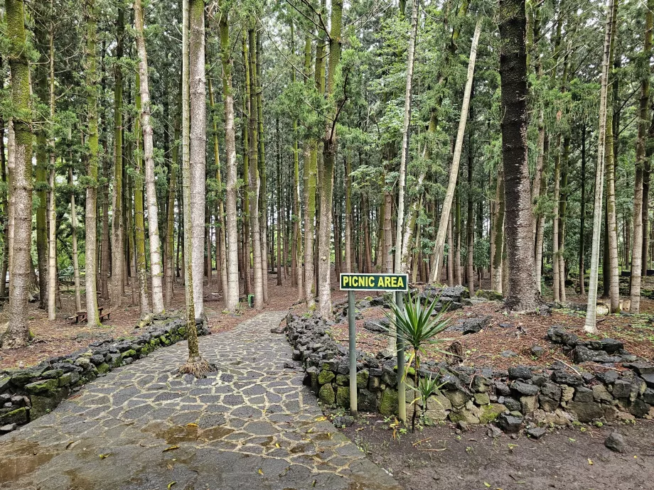 Bras d'Eau Ulusal Parkı