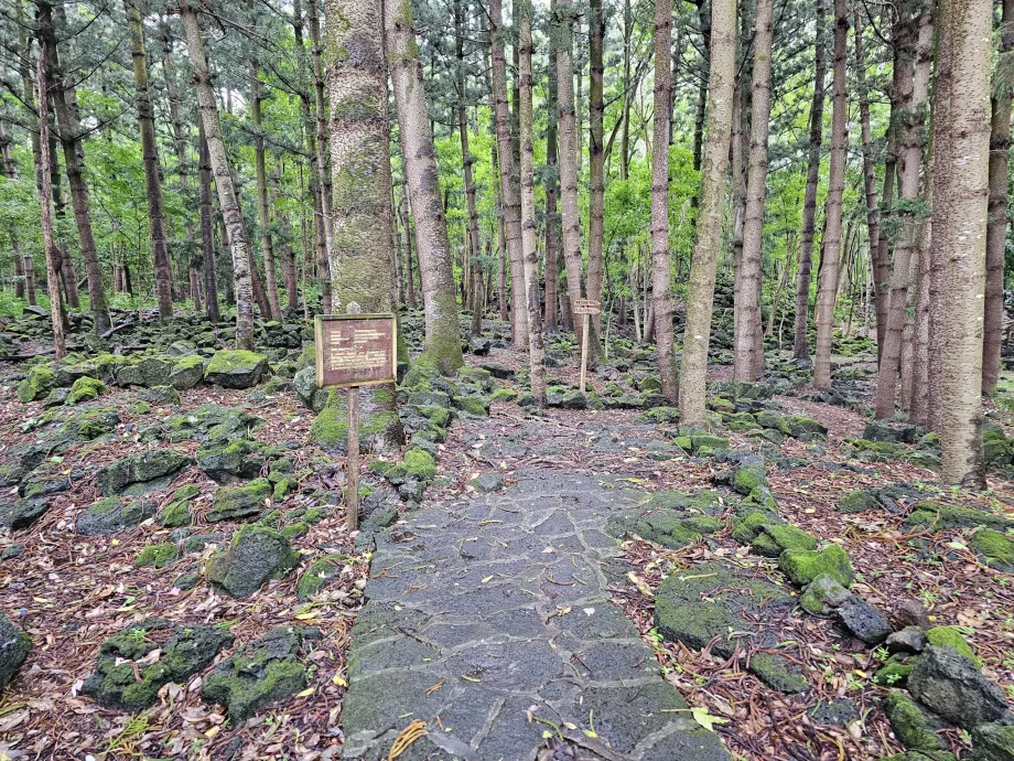 Bras d'Eau Ulusal Parkı, yürüyüş parkuru