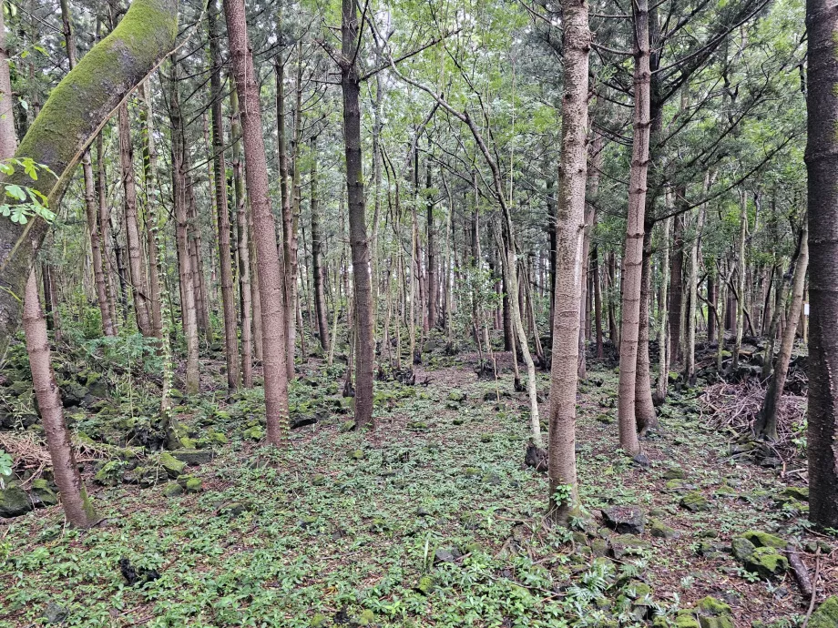 Bras d'Eau Ulusal Parkı