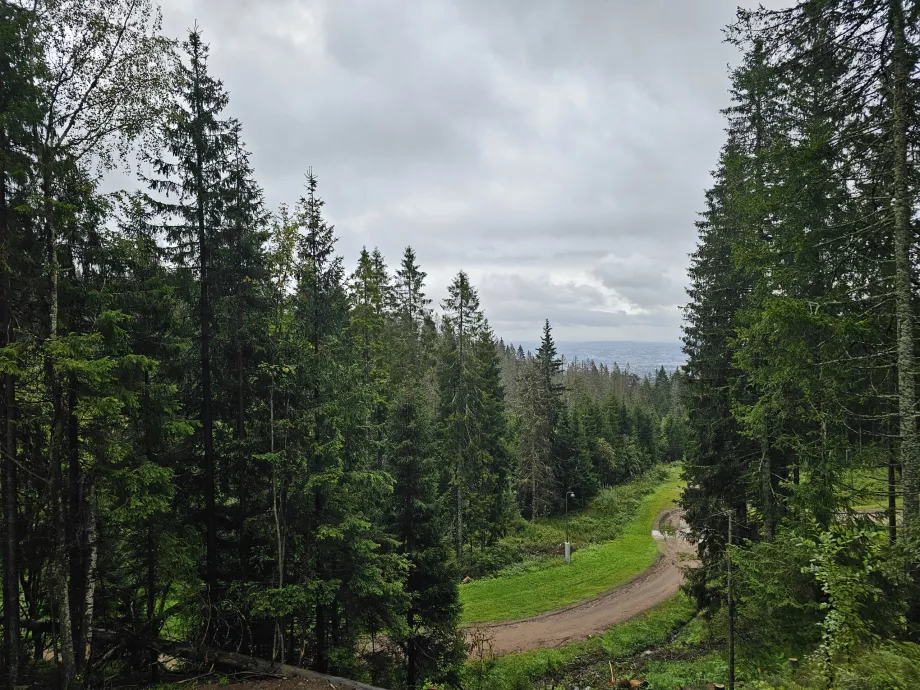 Holmenkollen Yürüyüşü