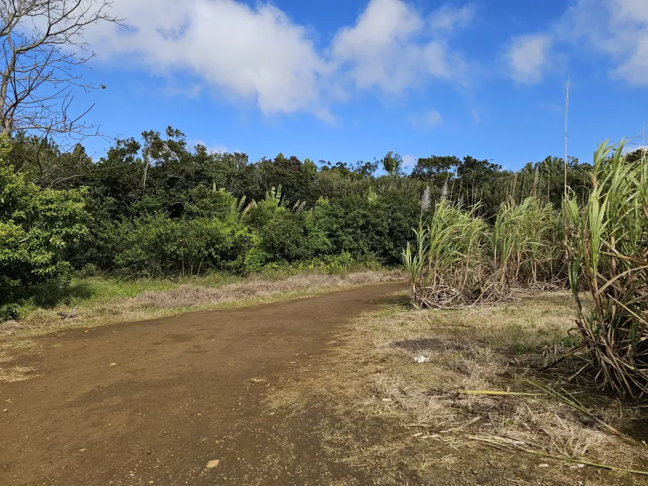 Sept Cascades'e giden yol