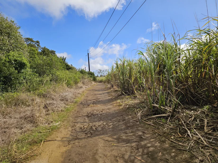 Sept Cascades'e giden yol