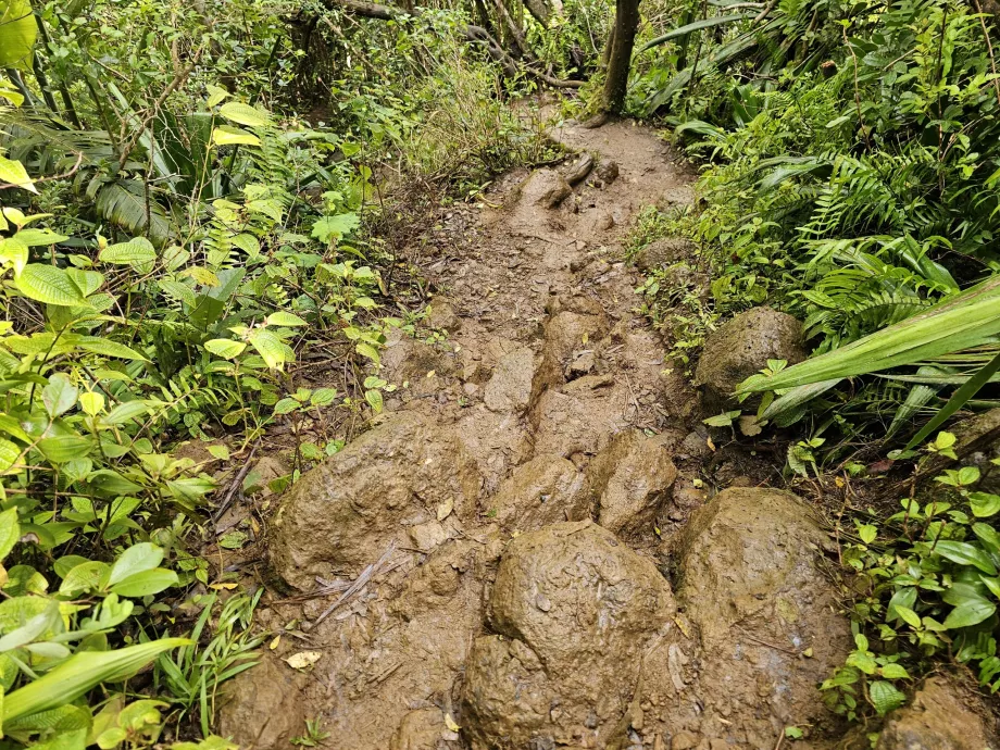 7 Cascades'e giden patika