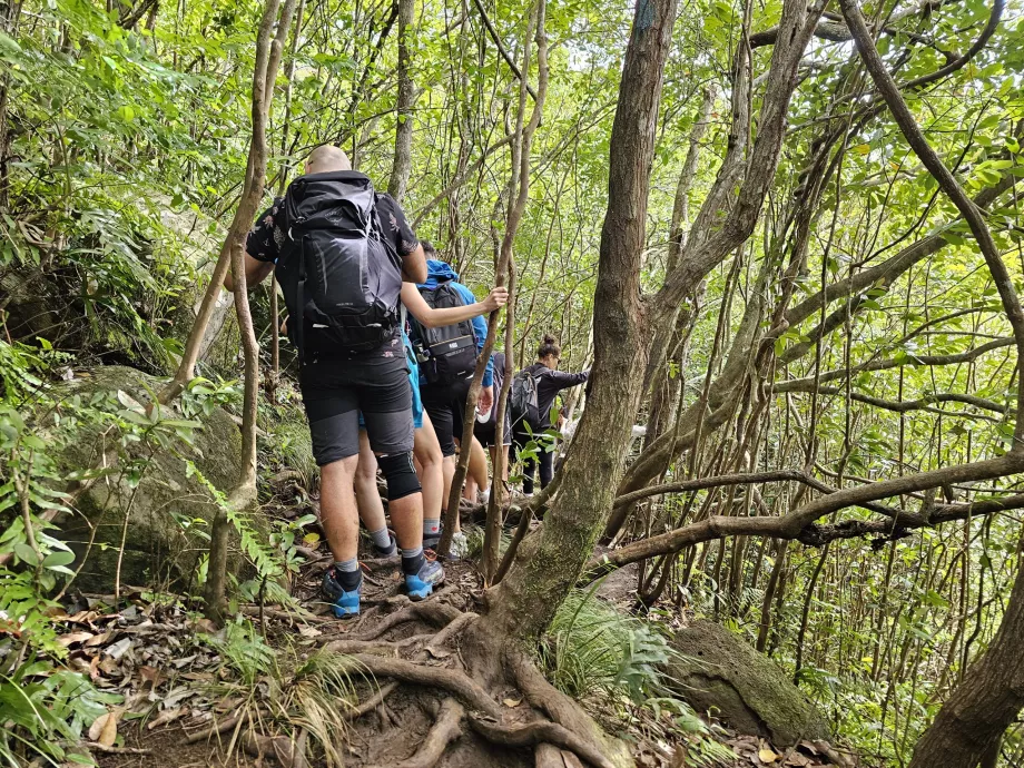 7 Cascades boyunca patika