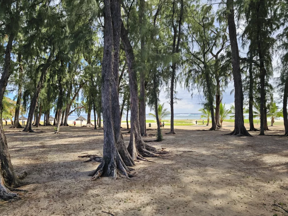 Flic en Flac plajında park