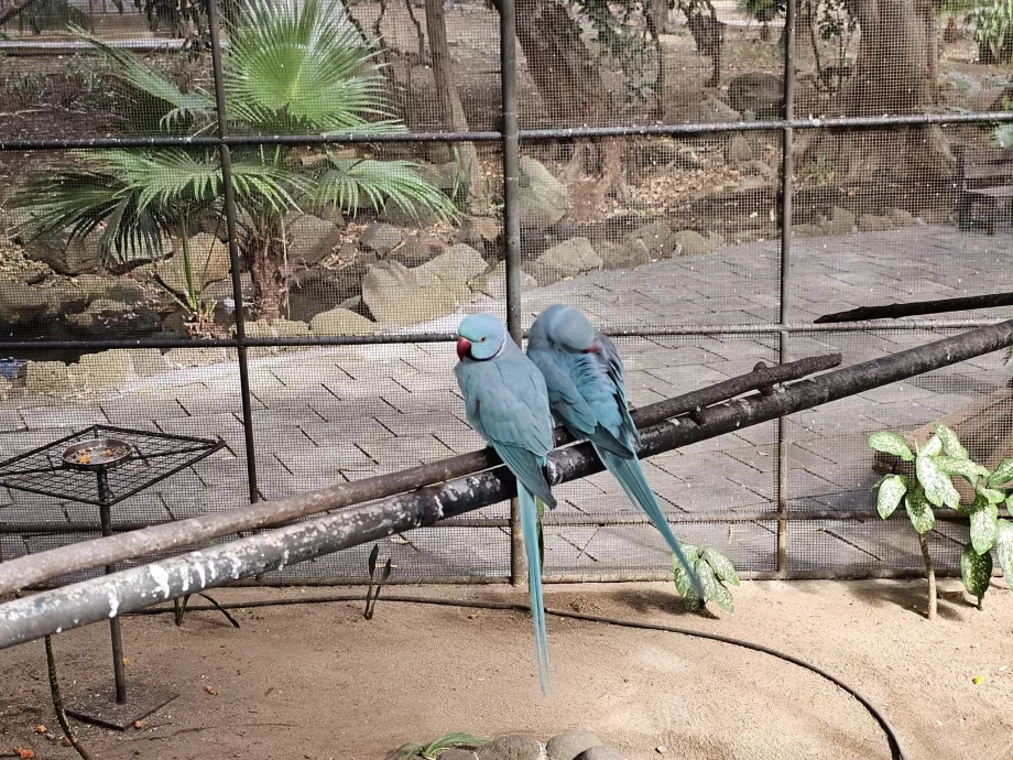 Casela Hayvanat Bahçesi