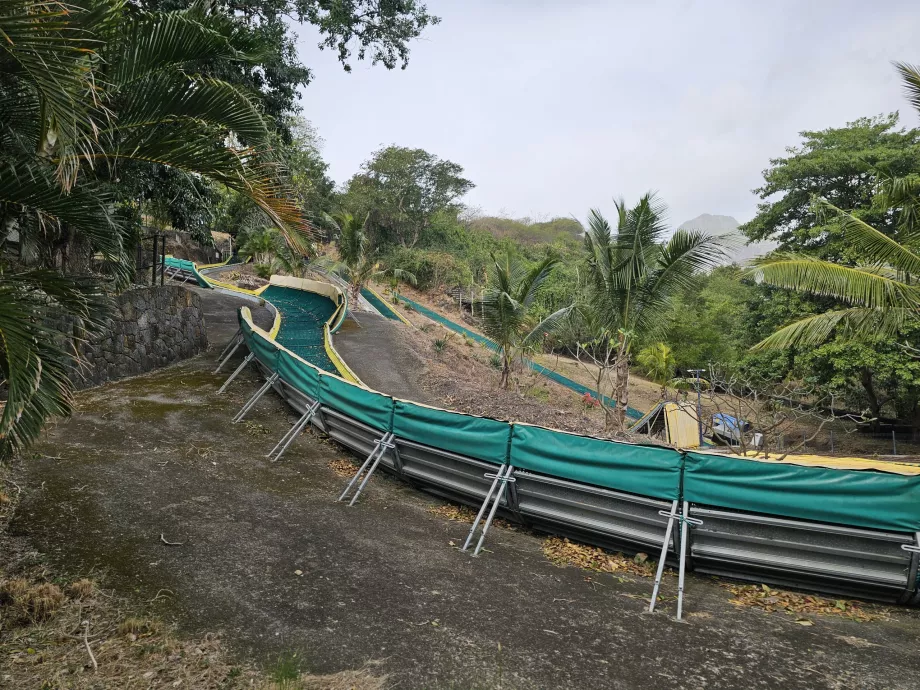 Casela Hayvanat Bahçesi'nde kızak