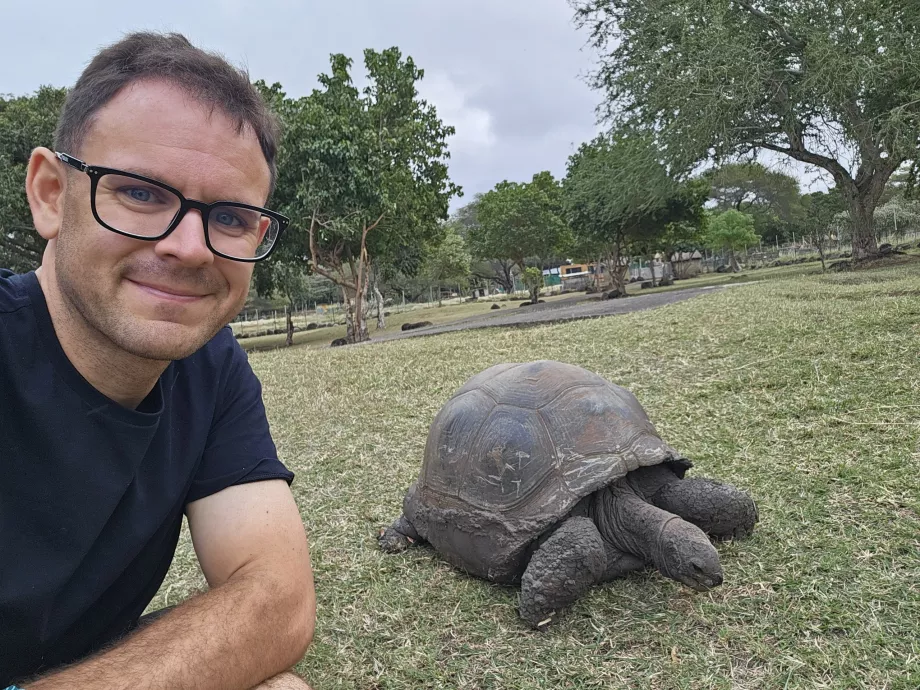 Casela Hayvanat Bahçesi'ndeki kaplumbağalar