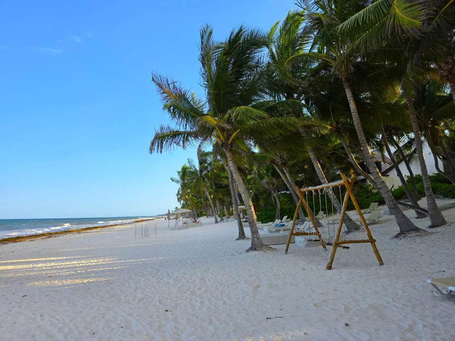 Tulum plajları