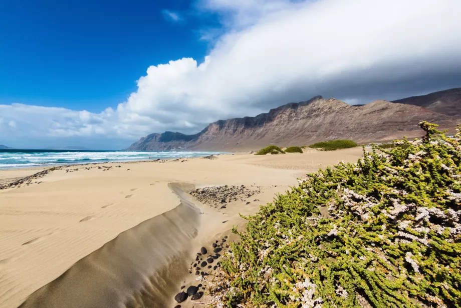 Famara Plajı