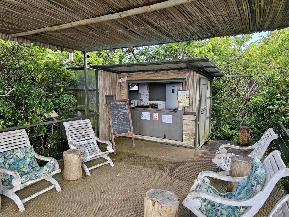 Abanoz Ormanı, ikramlar