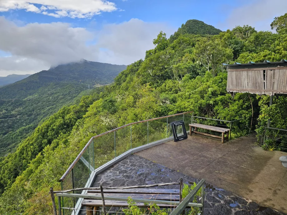 Abanoz Ormanı'ndaki kafeden görünüm