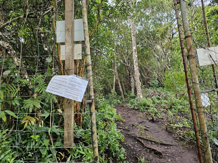 Piton du Canot'a giriş