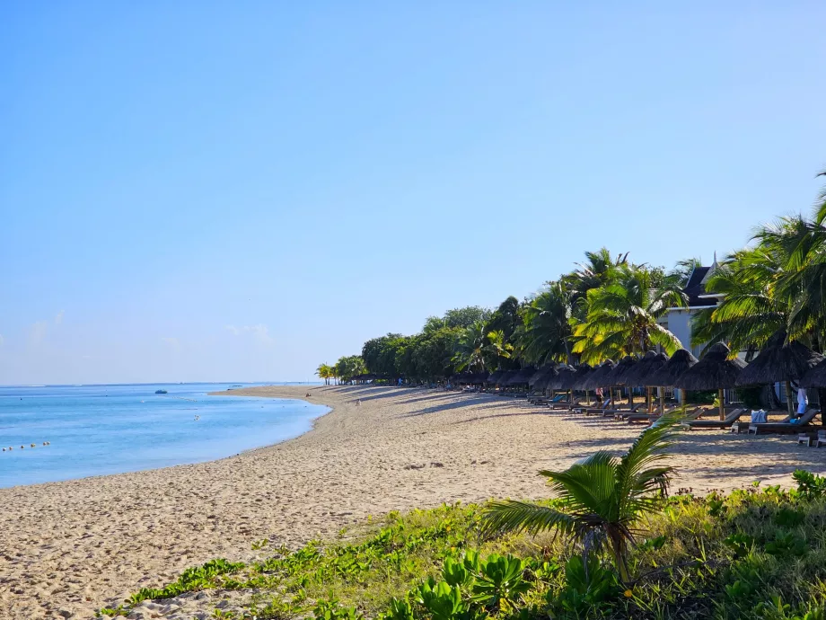 Regis Otel, Le Morne