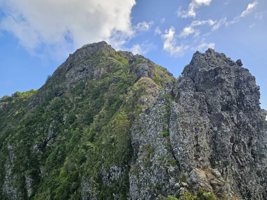 Le Morne'un en önemli özelliği