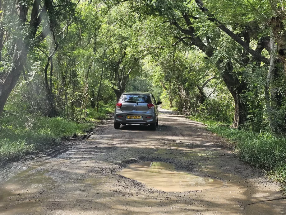 Le Morne'a erişim yolu