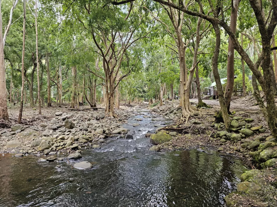 Black River Gorges NP