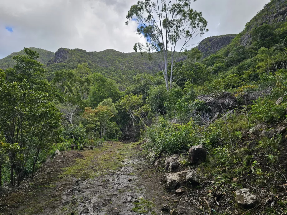 Black River Gorges NP