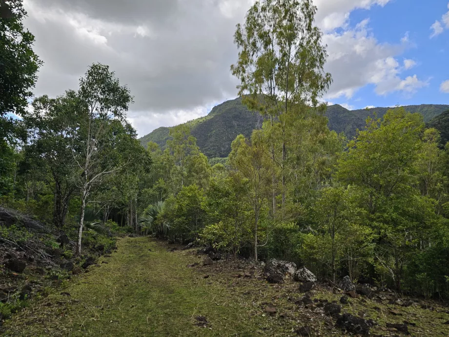 Black River Gorges NP