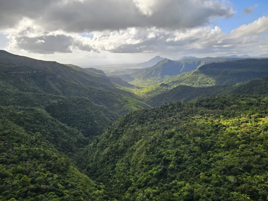 Gorges Bakış Açısı