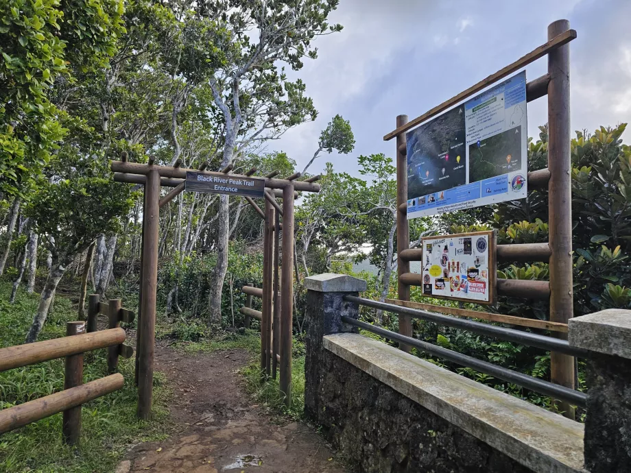 Black River Peak Patikası