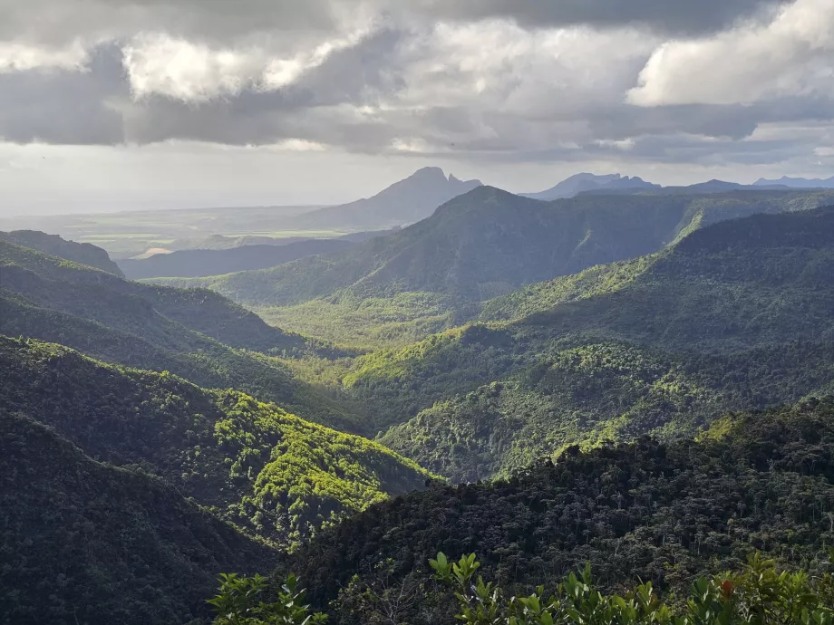 Gorges Bakış Açısı