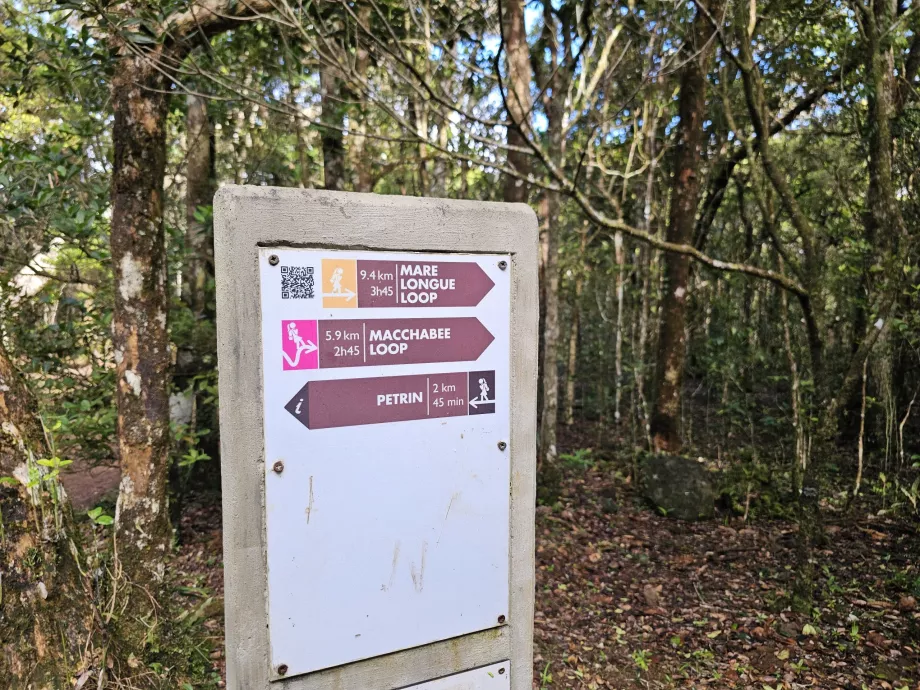 Black River NP'deki tabelalar